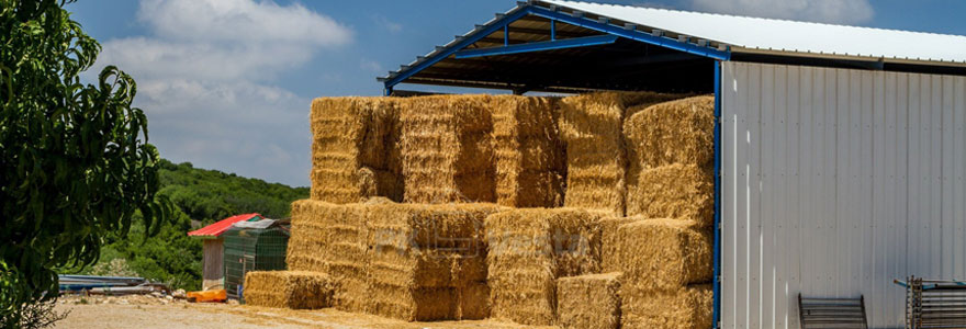 Bâtiments agricoles